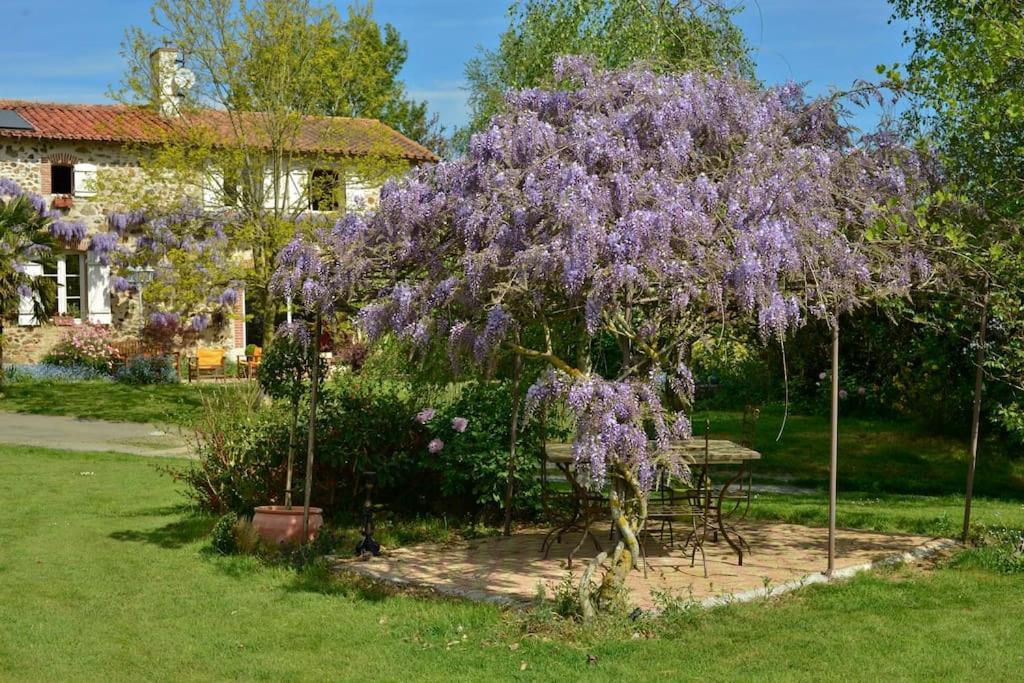 La Pommeraie-sur-Sèvre La Frapperie Bed & Breakfast エクステリア 写真