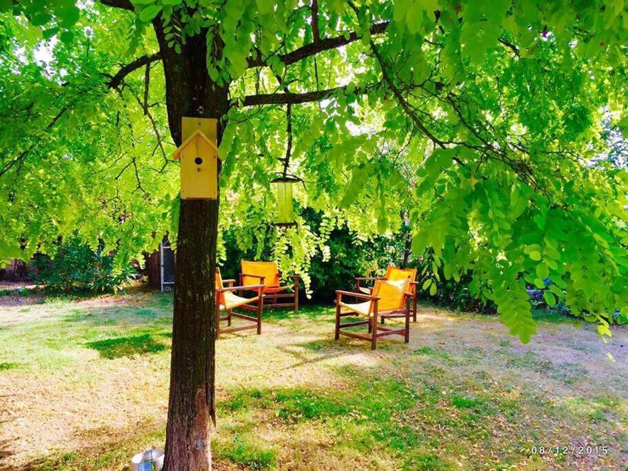 La Pommeraie-sur-Sèvre La Frapperie Bed & Breakfast エクステリア 写真