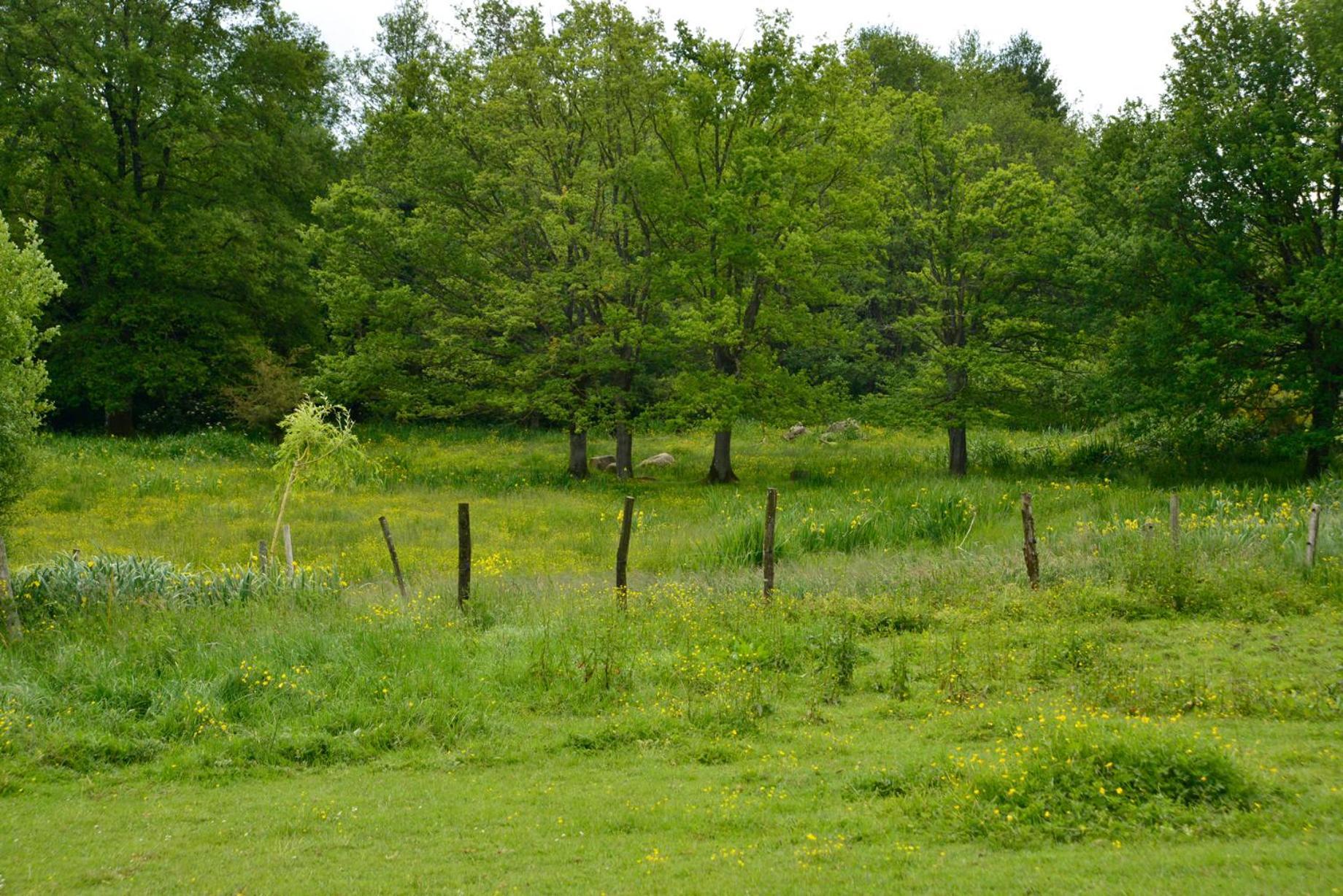 La Pommeraie-sur-Sèvre La Frapperie Bed & Breakfast エクステリア 写真